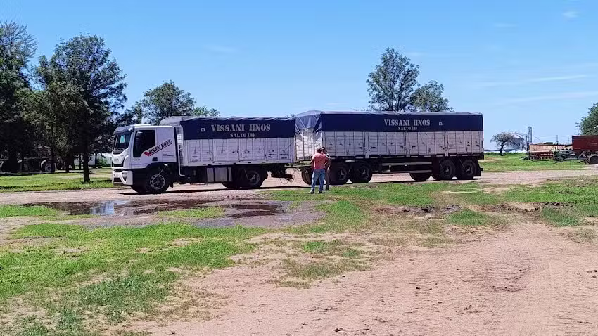 Adecco Agro Los Guayacanes