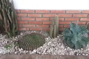 “Al Dente” Pastas y Pollos