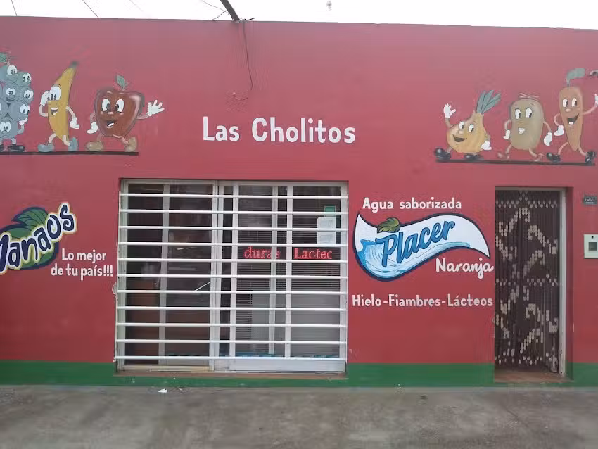 Almac&eacute;n Las Cholitos