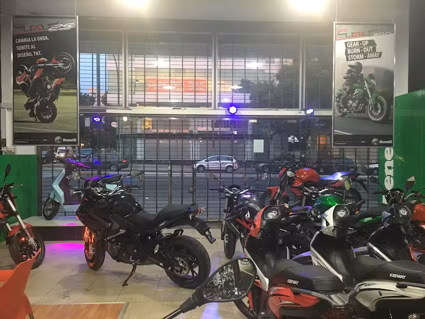 American Rider