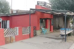 Andina remis y fletes