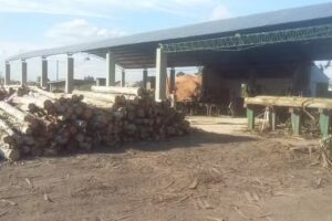 Aserradero San Geronimo