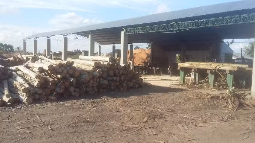 Aserradero San Geronimo