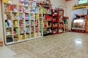 AUTOSERVICIO RUTA 92