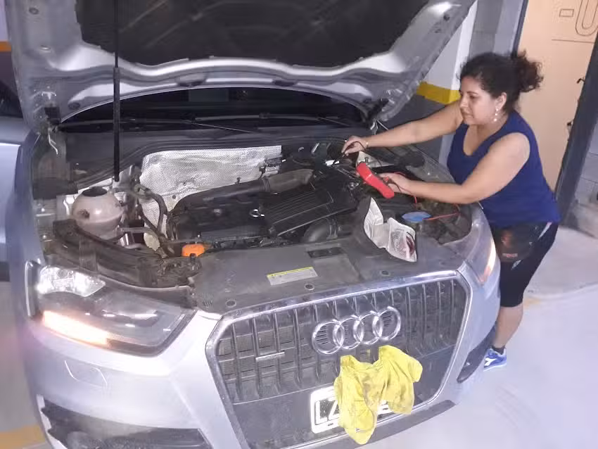 Auxilio Willy&rsquo;s &ndash; a Domicilio