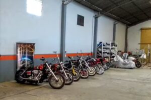 Axolote – Kunst Argentina(Pintura De Motos)