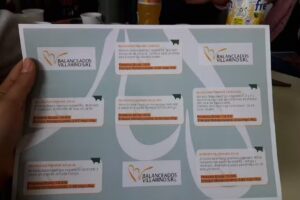 balanceados villarino