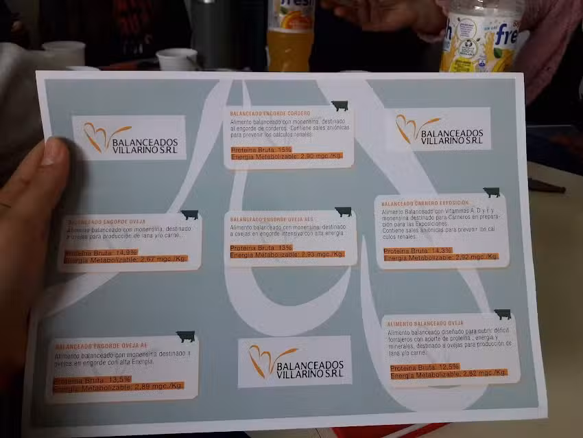 balanceados villarino