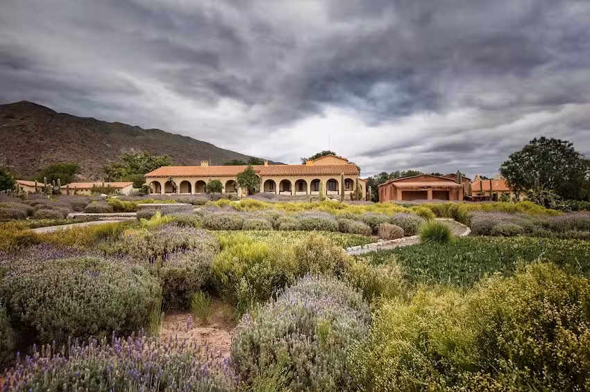 Bodega y Estancia Colom&eacute;