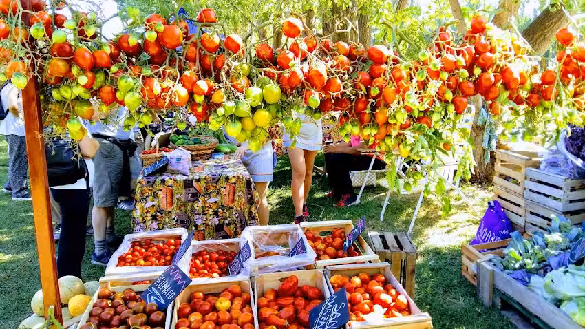 Buena Vida Verduras Agroecologicas