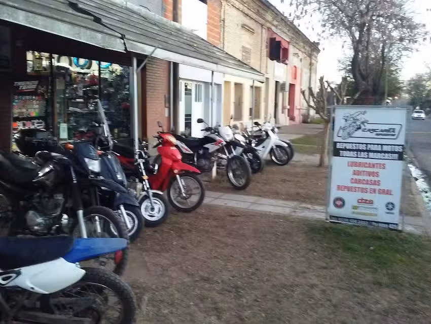 Cascarita repuestos