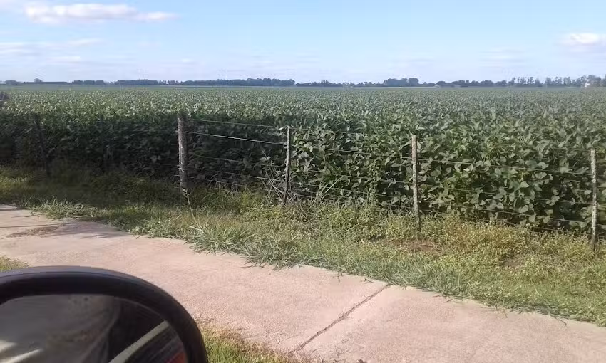 Chacinados Ferr&egrave;