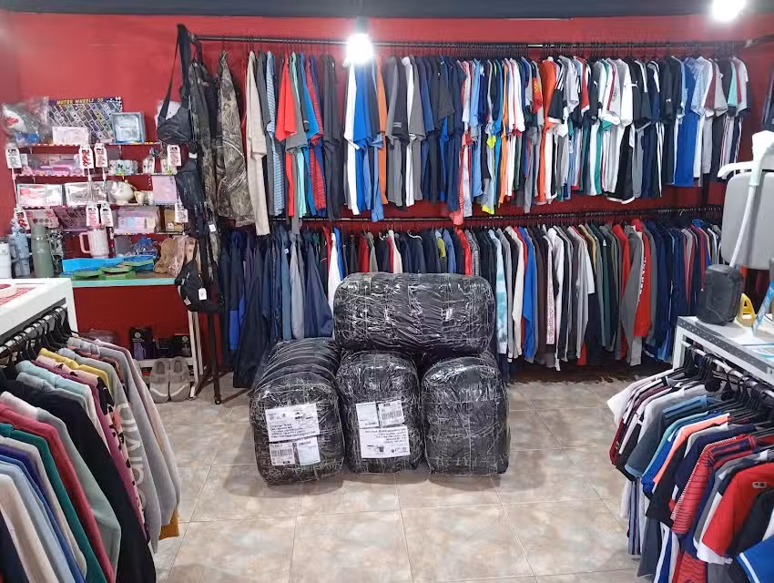 Cheto mal indum americana