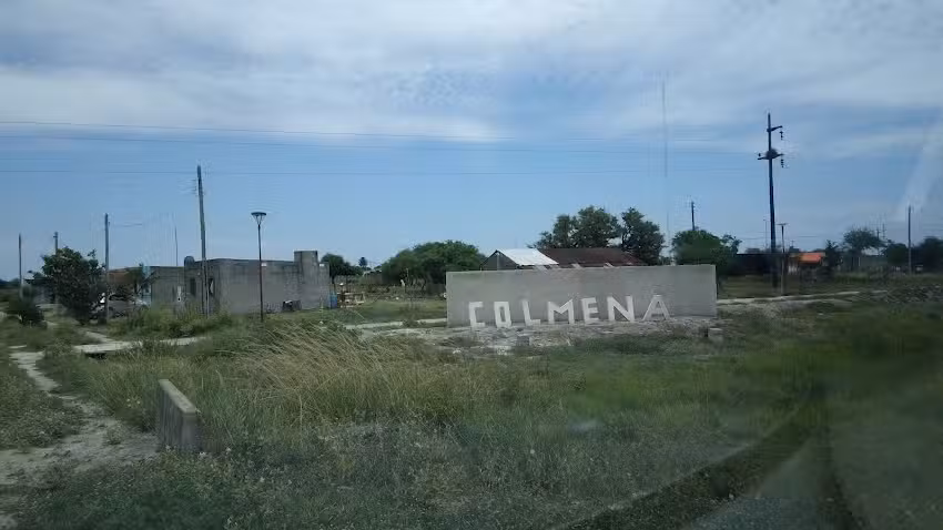 Colmena
