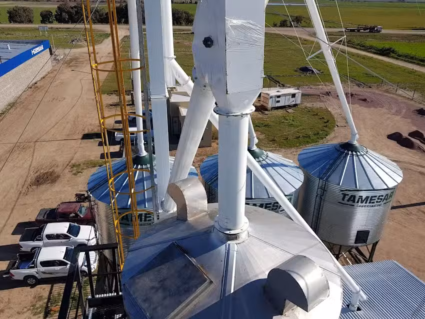 CONVERTIR Nutrici&oacute;n Animal