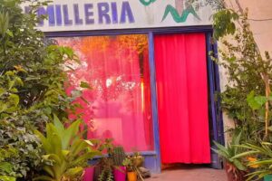 Corralon y Semiller&iacute;a Gonzi