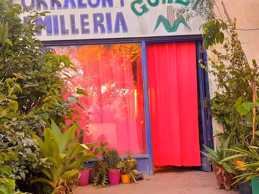 Corralon y Semiller&iacute;a Gonzi