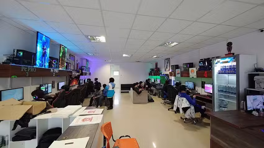 Cyber Gaming El B&uacute;nker Shiba Inu Players