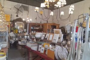 De Victorias y Flores