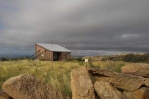 Do&ntilde;a Laura -Almac&eacute;n-