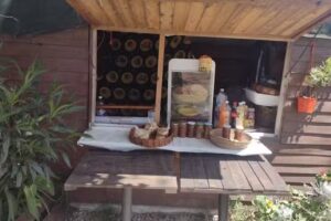 Do&ntilde;a Stella productos