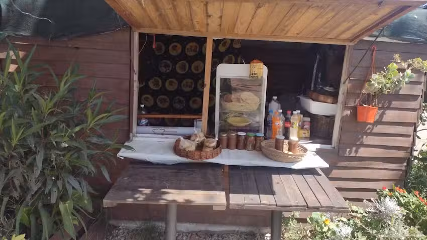 Do&ntilde;a Stella productos