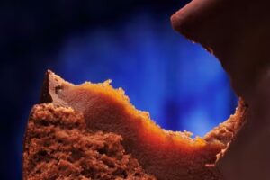 El Molle Alfajores “Casa Central y Fabrica”