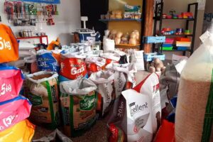 El rincon de las mascotas 2