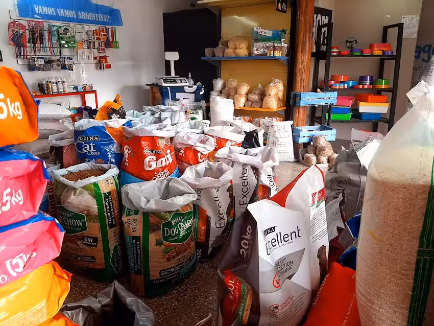 El rincon de las mascotas 2