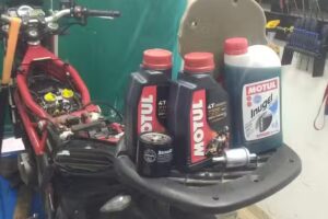 El Taller del Bosque