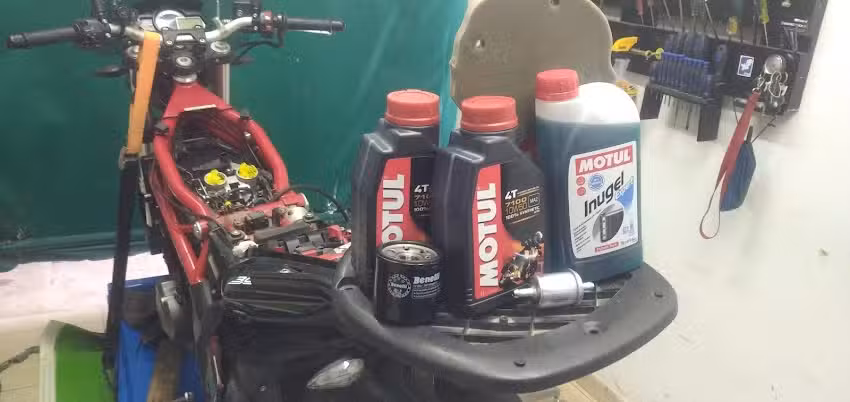 El Taller del Bosque