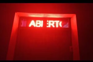 Flor de Card&oacute;n