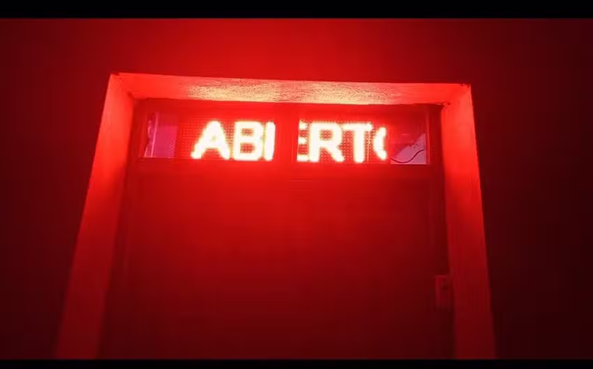 Flor de Card&oacute;n