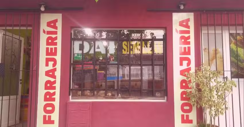 Forrajeria Dai Semillas