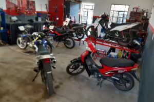 Fratini PerformanceR