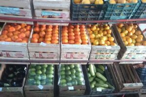 Frutas Y Verduras BLAS