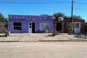 Giselle Cotill&oacute;n