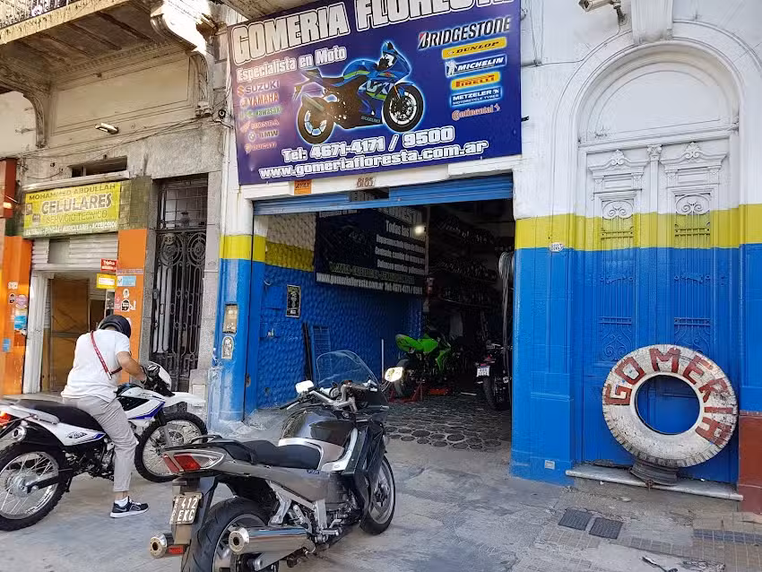 Gomer&iacute;a Floresta