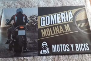 Gomer&iacute;a Molina