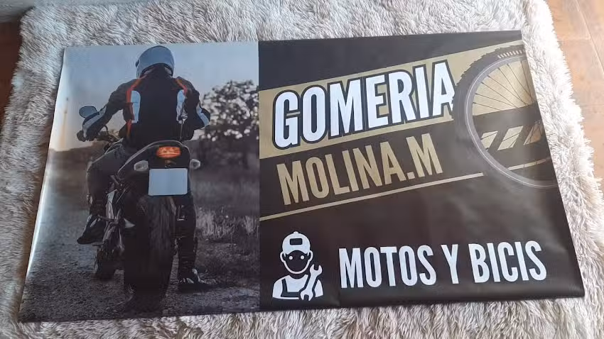 Gomer&iacute;a Molina