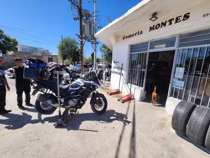 Gomer&iacute;a Montes