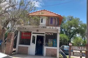 Gomeria y forrajeria