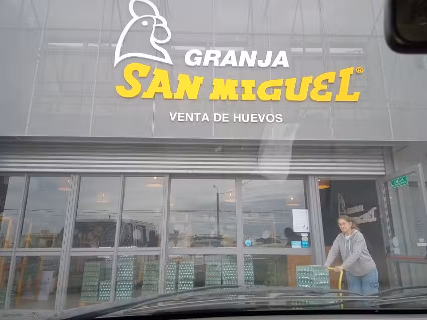 GRANJA SAN MIGUEL &ndash; VENTA DE HUEVOS