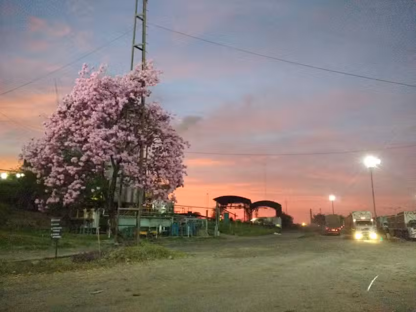 Ingenio Concepci&oacute;n