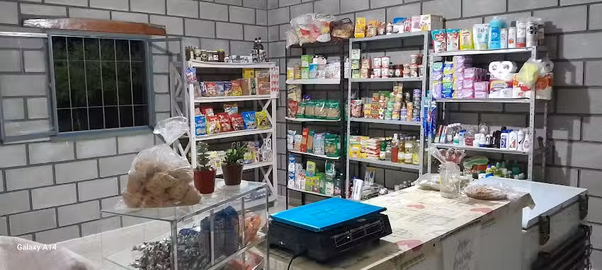 Kiosco & Despensa &ldquo;AL PASO&rdquo;