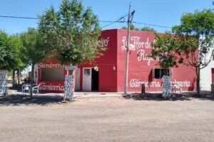 La Flor de Chelfor&oacute;