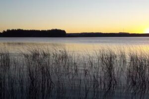 Laguna de los Padres