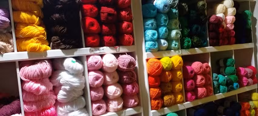 LANERIA COLONIA ELISA