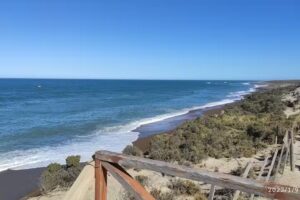 Lobería Punta Norte