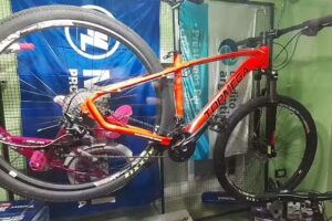 Luis Gini Motos, Bosque y Jardin